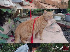 -旧雨咖啡·CoffeeFORU(黄村奥体店)