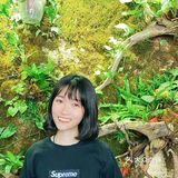 三亚｜错过后悔终生的精品海南菜馆～