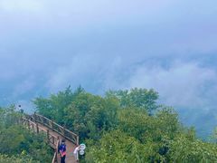 -大岭沟猕猴桃谷风景区