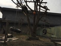 -仙芝竹尖生态园旅游景区
