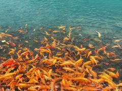 -楠溪江风景名胜区