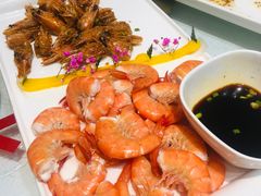 -小贝壳酒楼(经九路店)