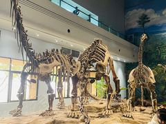 -自贡恐龙博物馆