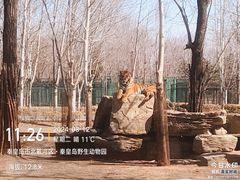 -秦皇岛野生动物园