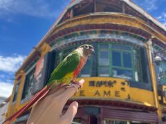 -玛吉阿米·餐吧