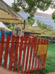 -萌宠亲子动物乐园(槐房万达店)