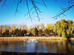 -圆明园遗址公园-藻园门售票处