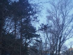-玉华宫景区