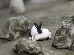 -洪湖家庭农场·团建·露营·会议