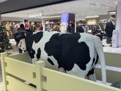 -红星前进面包牛奶公司(君太店)