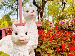 -上海鲜花港