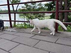 -郭守敬纪念馆