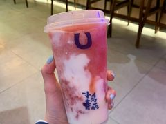 -春丽小马(济南恒隆广场店)