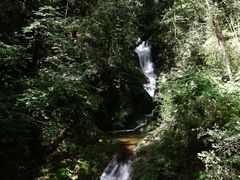 -牛背梁国家森林公园