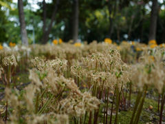 -白塘生态植物园
