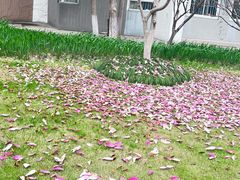 -东华大学(松江校区)