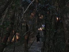 -午潮山国家森林公园