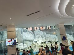 -帝企鹅自助餐厅•儿童岛•真企鹅(长隆企鹅酒店)