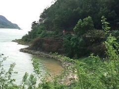 -羚羊峡古栈道森林公园