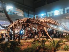 -自贡恐龙博物馆