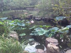 -麦当劳(盐城世纪大道得来速店)