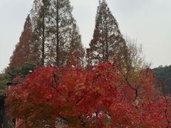 -白马涧龙池景区