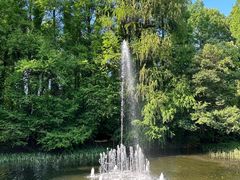 -上海共青森林公园