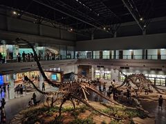 -自贡恐龙博物馆