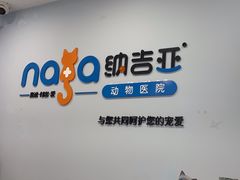 -纳吉亚猫专科动物诊疗中心(蒋宅口分院)