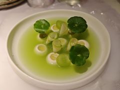 -Tomacado花厨(One ITC店)