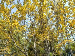 -白塘生态植物园