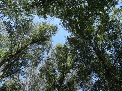 -汉石桥湿地公园