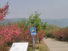 -北京西山国家森林公园