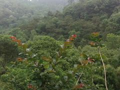 -大雁山风景区