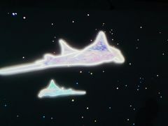 -暹罗海洋世界