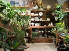 -自由生长植物工作室(深港花卉中心店)