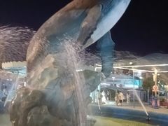 -海合安武汉极地海洋公园