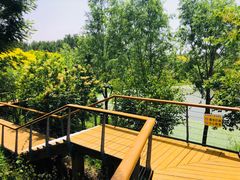 -东郊湿地公园