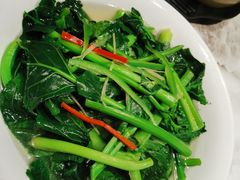 上汤板蓝根-有记家厨(后龙西街店)