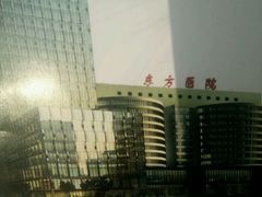 -上海市东方医院(总院)