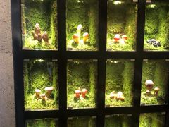 -野·大山里野生菌石锅土鸡(益田假日店)