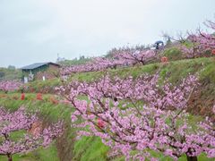 -翠屏湖景区