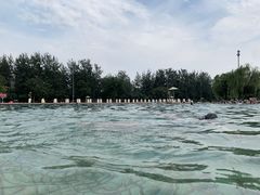 -柳浪游泳场