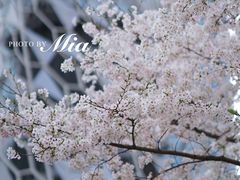 -龙美术馆(西岸馆)