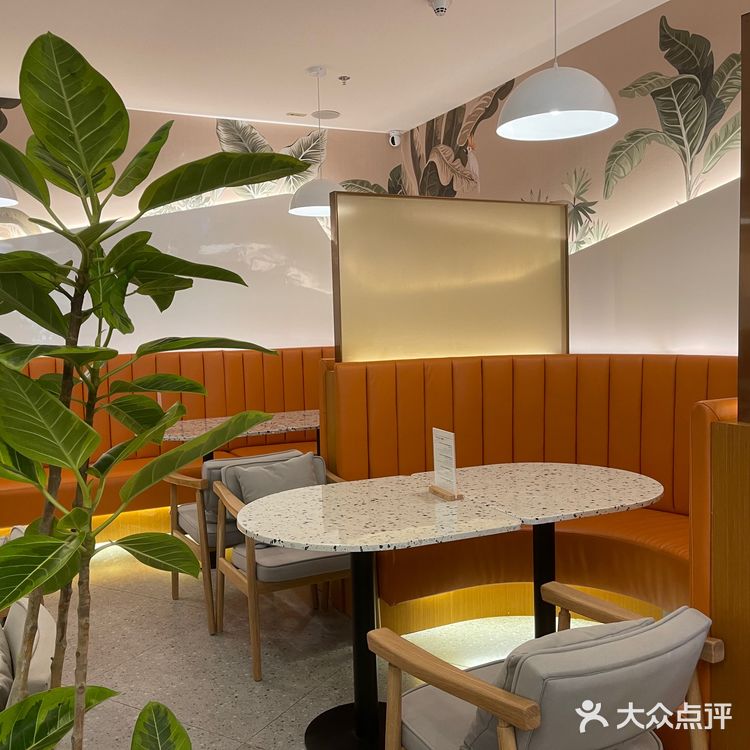 打卡海上世界下午茶