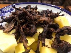东北榛蘑-炮爷东北铁锅炖(棠安路店)