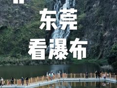 -水濂山森林公园
