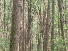 -同里国家湿地公园
