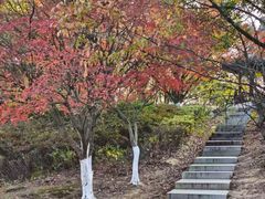 -八大山人梅湖景区