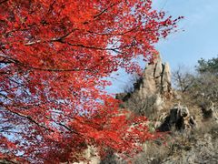 -崂山九水游览区